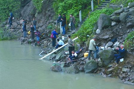 重庆1700斤鲫鱼被放生长江引来人群捕捞、垂钓(多图)