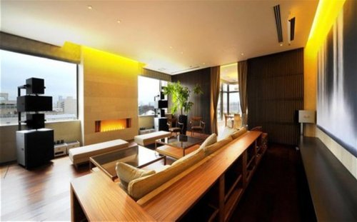 全球最贵单卧室公寓现身东京 售价3.5万镑/平米(组图)