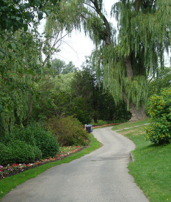 单车小路可以贯穿多个公园。 (记者费诗明/摄影)</p> <p>