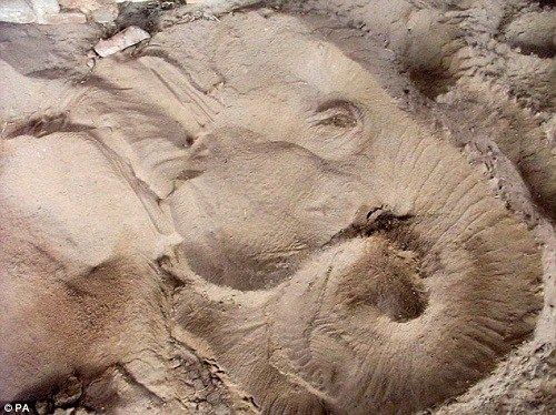 英国大象侧卧睡觉 在沙地上压出清晰“象脸”(组图)