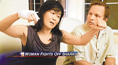 美国加州日裔女子游泳遇3.6米长虎鲨 两拳将其击退(图)