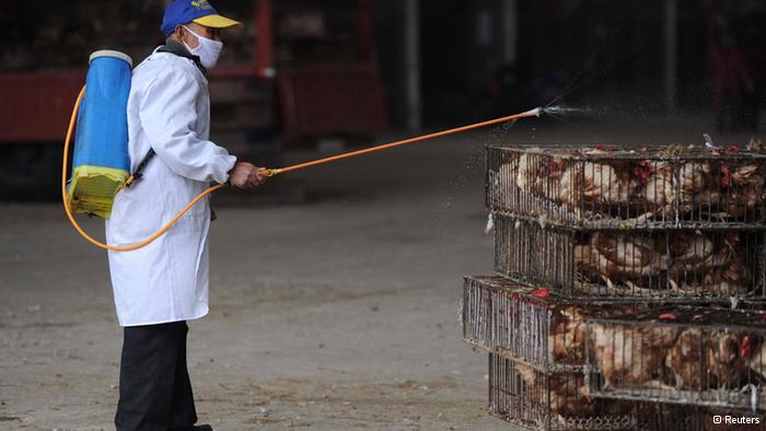 H7N9禽流感新增死亡病例 重度感感染者面临破产的窘境