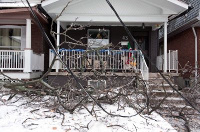 圖為因去年12月的冰暴災害，多倫多士嘉堡區一幢住宅前的樹杈和電線散落一地。去年以來的惡劣氣候，將導致房屋保費上漲。（加通社） 