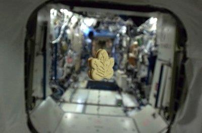 前加拿大太空人哈费德(Chris Hadfield)去年4月派驻国际太空站时，拍下的枫糖饼干飘浮空中照片。 (加通社)</p></p></p> <p><p><p>