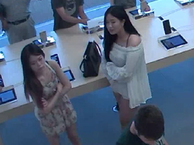 两名疑似华裔的亚裔女子涉嫌盗刷他人信用卡。 (纽约州警提供)