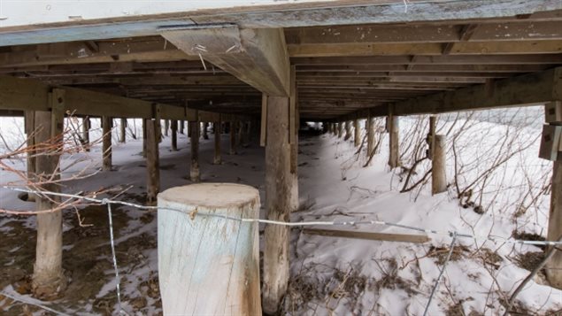 永冻层融化让加拿大北方许多建筑失去了支撑