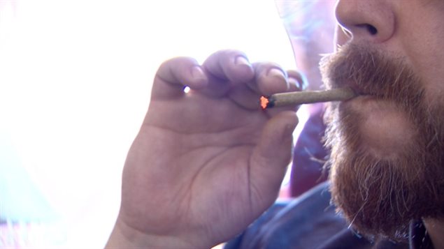 特鲁多说大麻合法化的目的是不让未成年人抽大麻