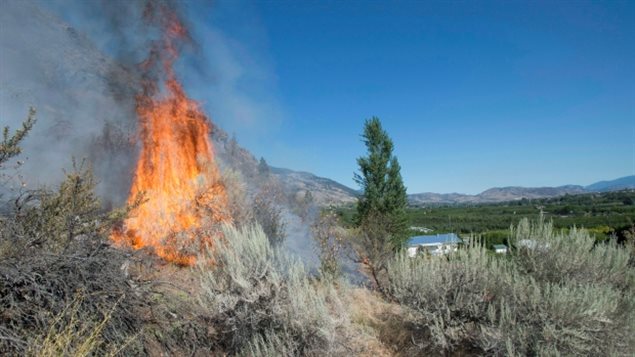 BC省内陆地区的森林火灾更加严重