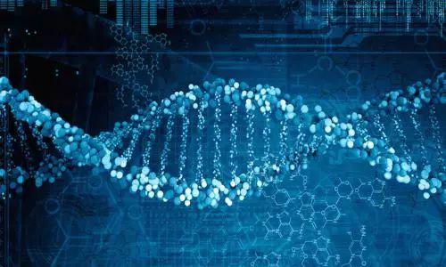 医学重大突破!基因可以改写 家族遗传病从此终结?