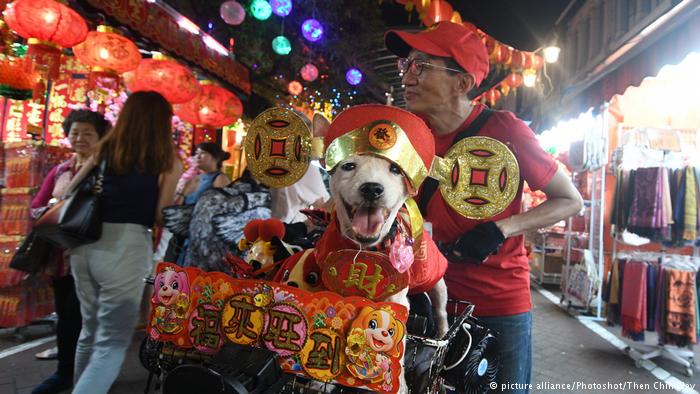 China Neujahrsfest | Jahr des Hundes (picture alliance/Photoshot/Then Chih Wey)