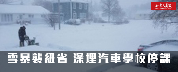 “雪暴袭纽省 深埋汽车 学校停课”的图片搜索结果