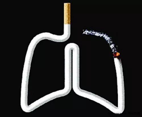 吸烟者进入秋季，需吃“三物”，喝“四茶”，给你的肺部清理一下