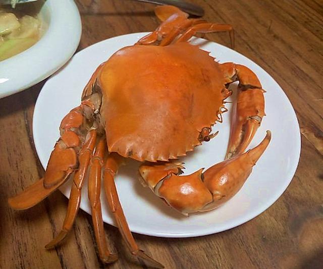 它被称为“蟹中之王”，出海就卖了，一只2000元，想吃只能去酒楼