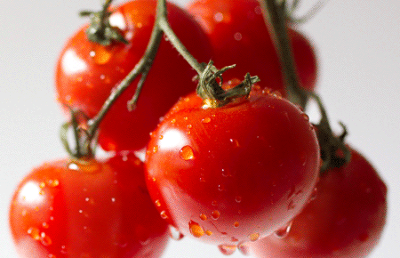 西红柿生吃还是熟吃好？原来区别这么大