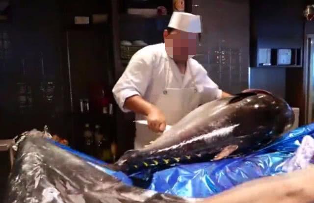 为啥日本人很爱吃金枪鱼？切开鱼肉一看，这才是“顶级金枪鱼”