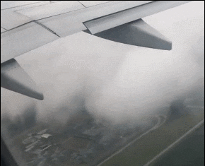 加拿大客机遭鸟击后引擎喷火 乘客受惊绝望留遗言