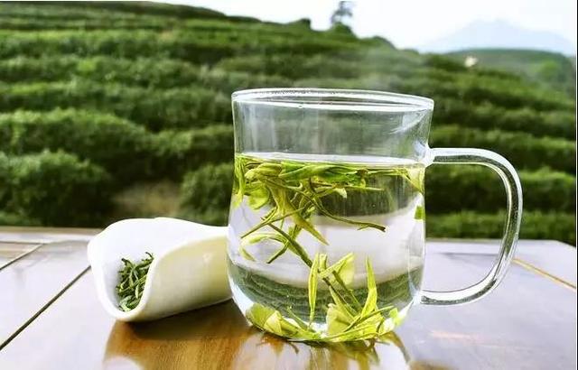 每天喝多少绿茶不超量？喝绿茶可以降血糖？喝绿茶该知道这三件事