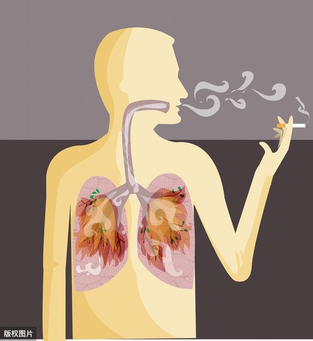 有人一直吸烟，肺干干净净，有人从不吸烟，却查出肺癌？真相来啦
