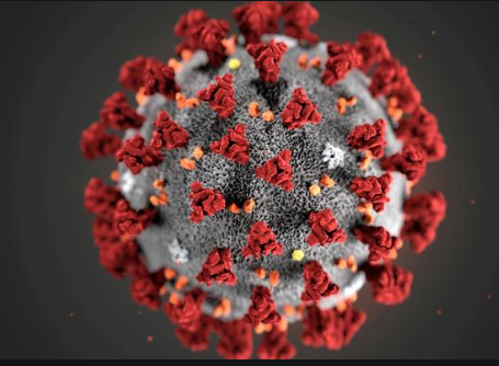 南非研究：辉瑞疫苗对Omicron免疫能力大幅下降_图1-1